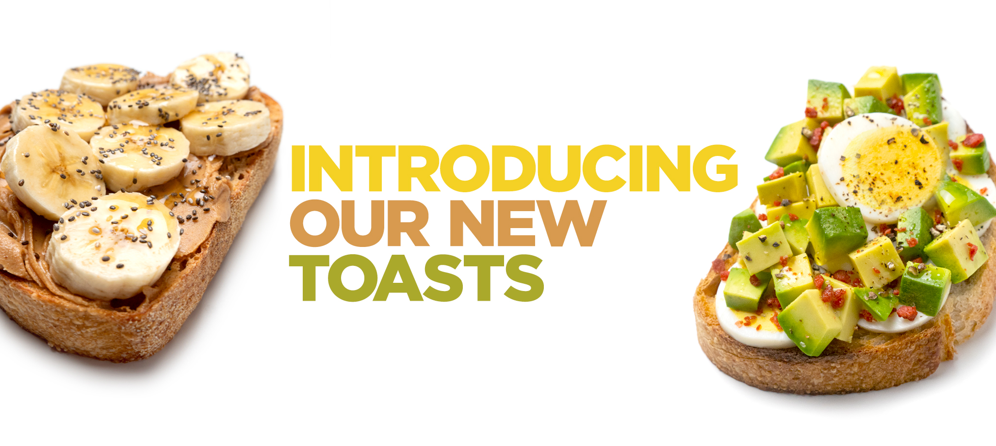 Introducing Our New Toasts