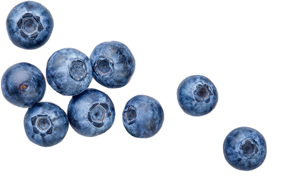 blueberries