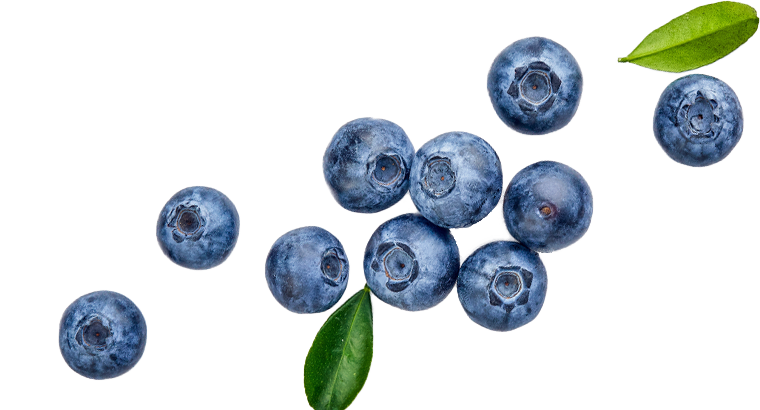 blueberries